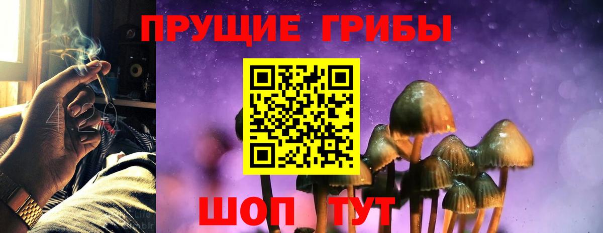 Лениногорск  Галлюциногенные грибы Magic Shrooms  Вход с VPN 